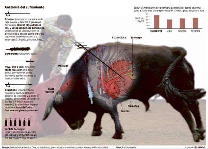 JulenBollain's tweet photo. Cayetano Rivera dice que la palabra “asesinar” no corresponde con lo que ellos hacen en la plaza de toros.

A ver, matáis a un toro metiéndole banderillas y moviendo el gancho dentro de la herida para que siga la hemorragia. Lo rematáis metiéndole una espada de 80cms. Tú dirás. https://t.co/uvPKj5EPbh