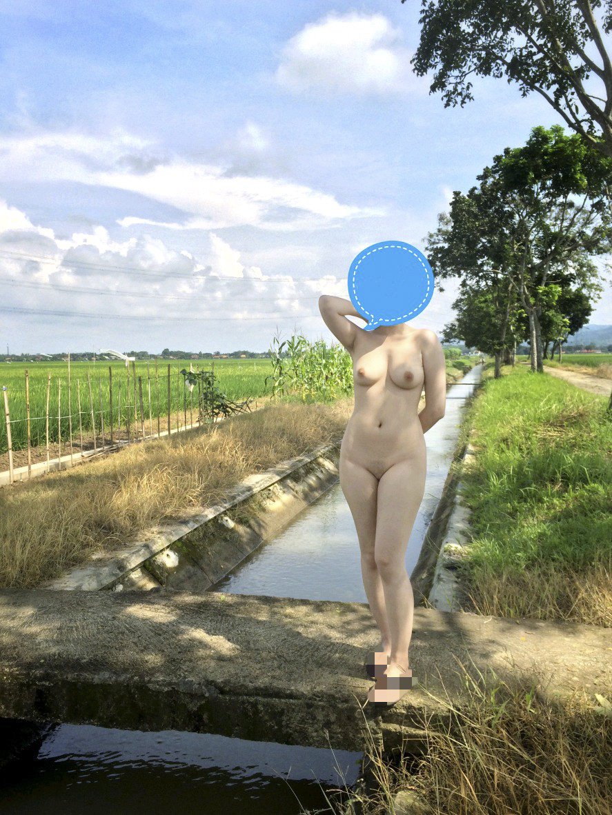 máy bay thả bom b52 tweet media