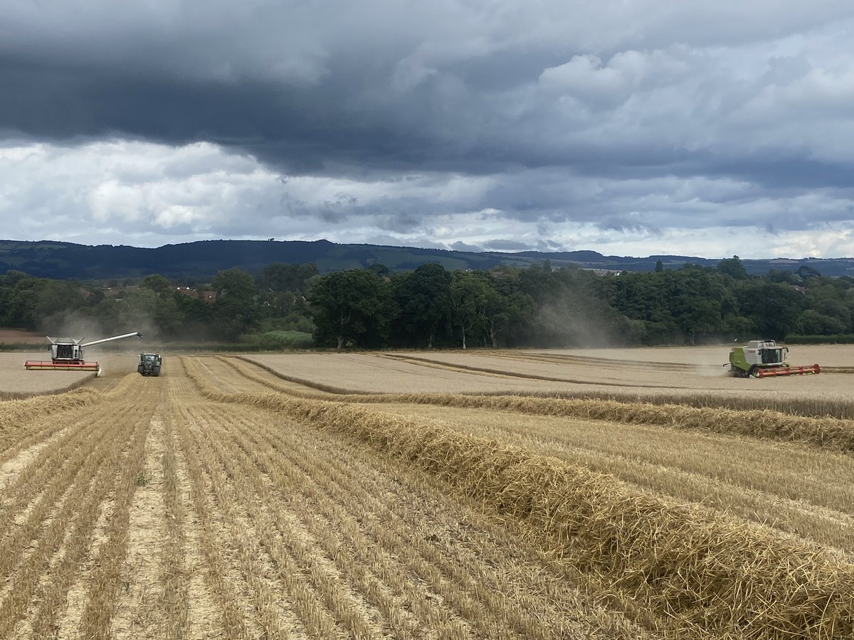 richardpayne94's tweet photo. A demo from @CLAAS_UK and Hamblys. #trion730 Sadly; it rained on our parade. Impressive machine. @AHDB_Cereals @AHDB_Arabletech #monitorfarm #somerset https://t.co/WKj5zGKN0y
