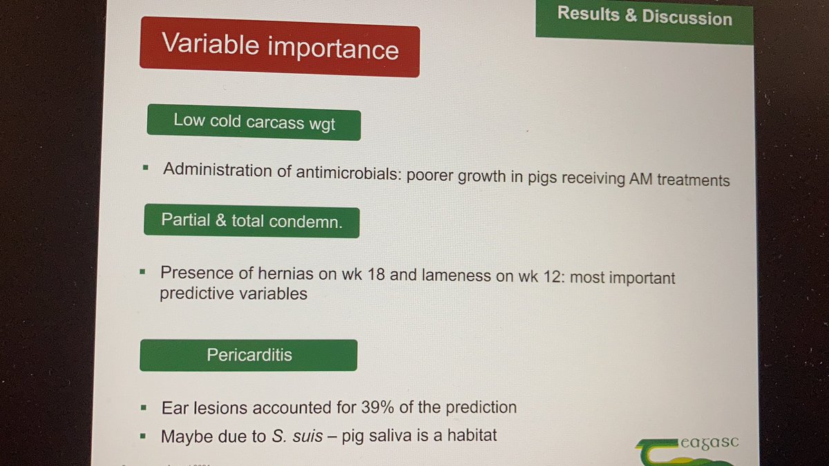LABoyle2's tweet photo. Another @TeagascPig student @JcPessoa_ work being presented by @TomasNortonPLF @wafl2021 on link between #pighealth and #pigwelfare and usefulness in informing #meatinspection outcomes. Also #earlesions predicted #pericarditis #novelfinding WAFL2021 https://t.co/4VFdCGsUXL