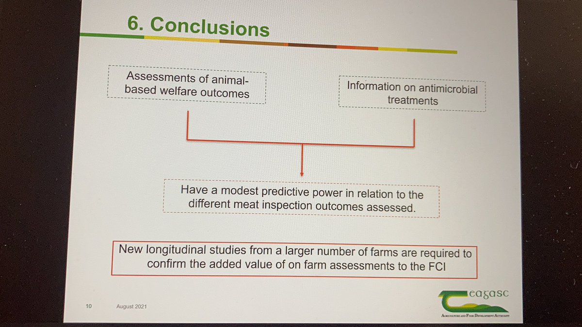LABoyle2's tweet photo. Another @TeagascPig student @JcPessoa_ work being presented by @TomasNortonPLF @wafl2021 on link between #pighealth and #pigwelfare and usefulness in informing #meatinspection outcomes. Also #earlesions predicted #pericarditis #novelfinding WAFL2021 https://t.co/4VFdCGsUXL