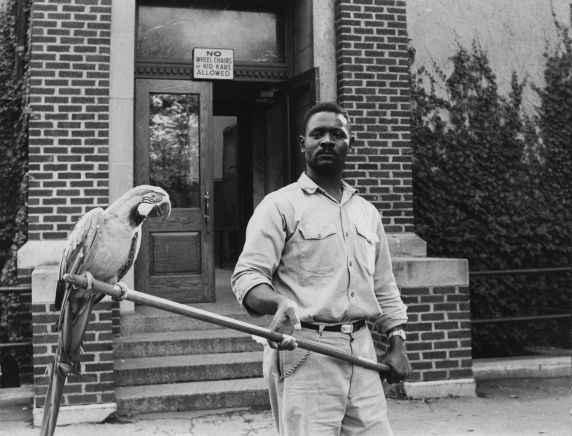 To start us off, here is <a href="/detroitzoo/">Detroit Zoo</a> <a href="/AFSCME/">AFSCME</a> Local 542 (Council 77) member James Newton outside the birdhouse with a parrot in 1958 #WorldPhotographyDay #saavms reuther.wayne.edu/node/4213