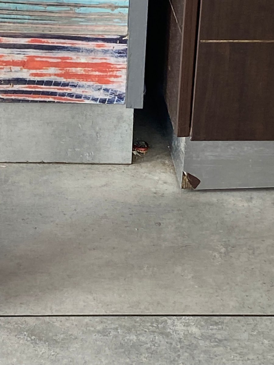 David Mann tweet media