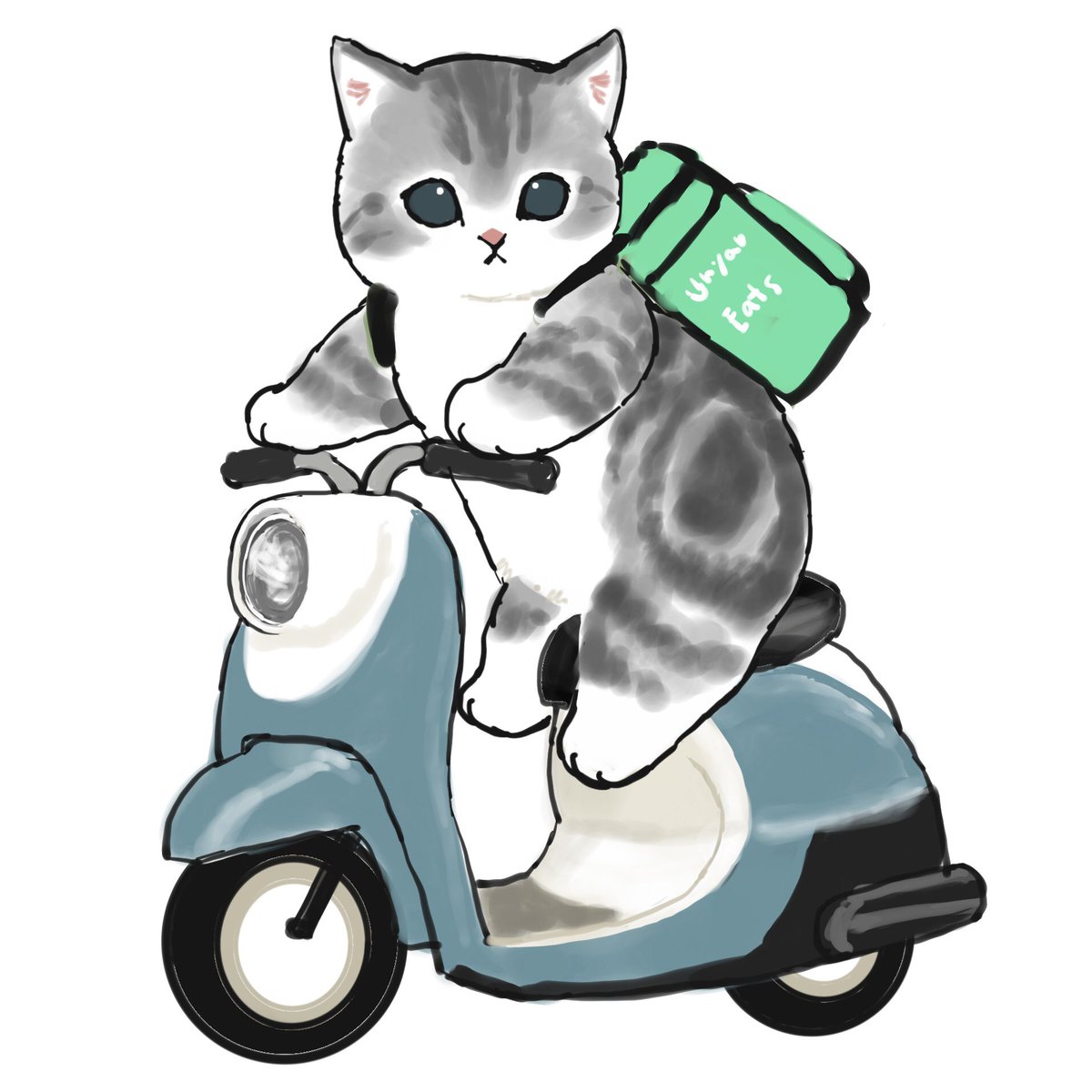 no humans ground vehicle motor vehicle white background cat simple background animal  illustration images