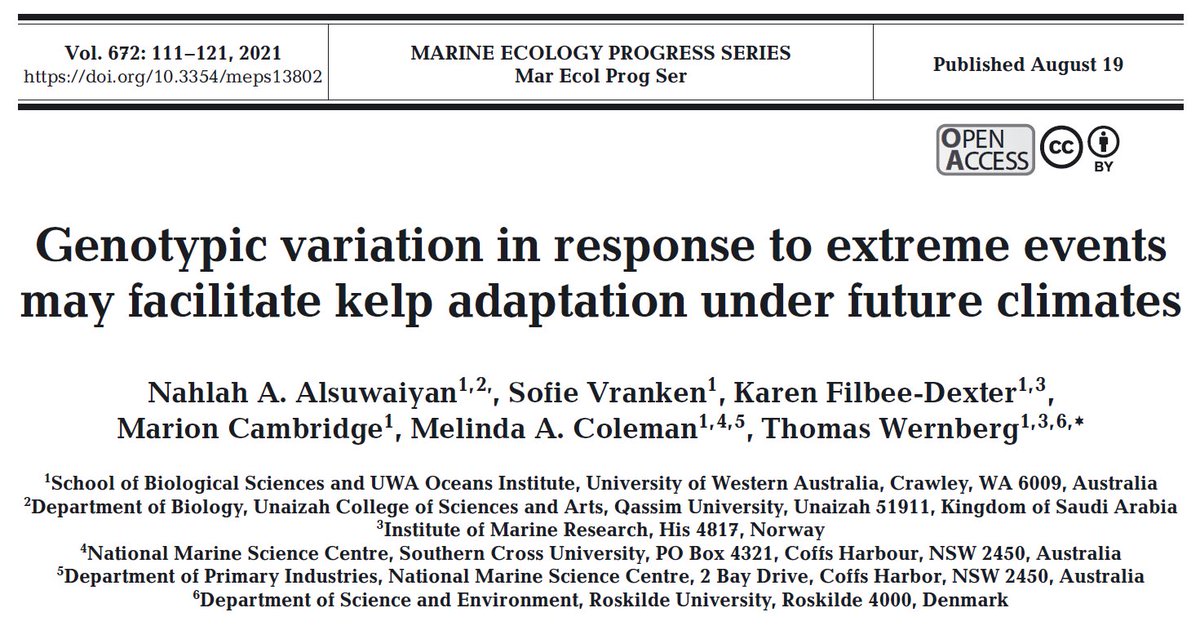 Our new paper examining #kelp early life stages responses to different marine heatwave profiles suggests tolerance to acute thermal stress is influenced by genetic variation. 
Published in @MEPS_IR in open access!
Read full article  ➡️ doi.org/10.3354/meps13… 
#marineheatwaves