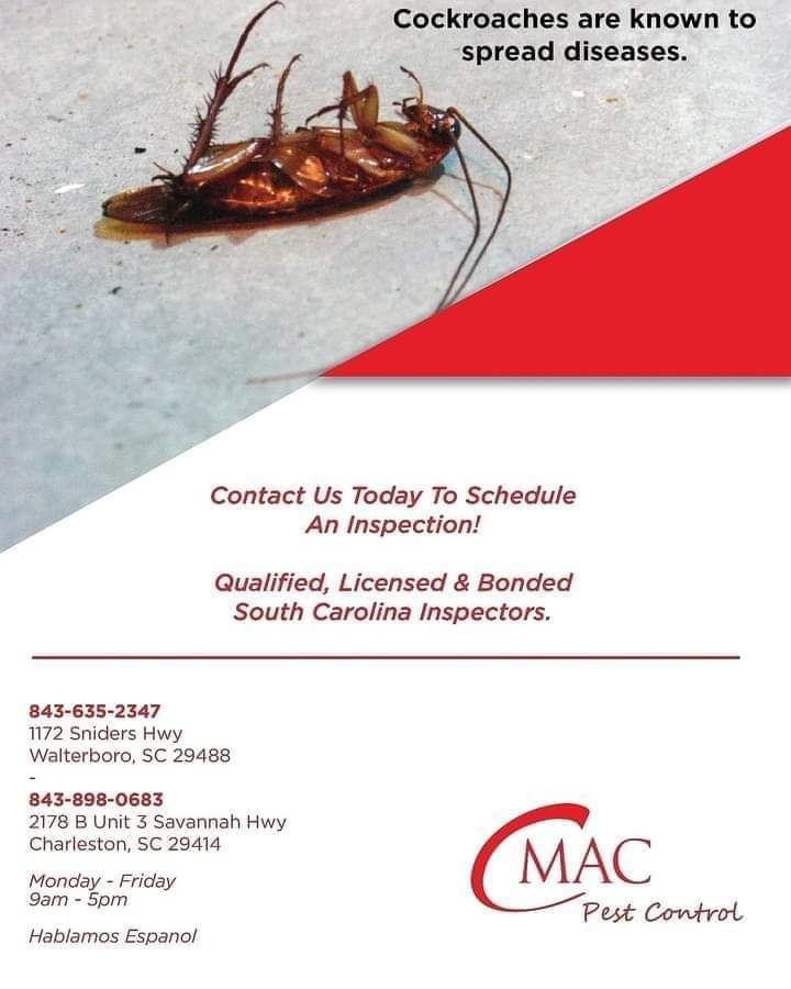 CmacPest's tweet image. 