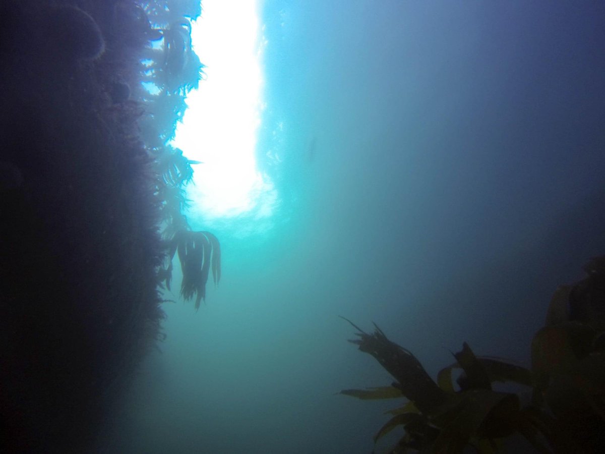 Hayden Close tweet media