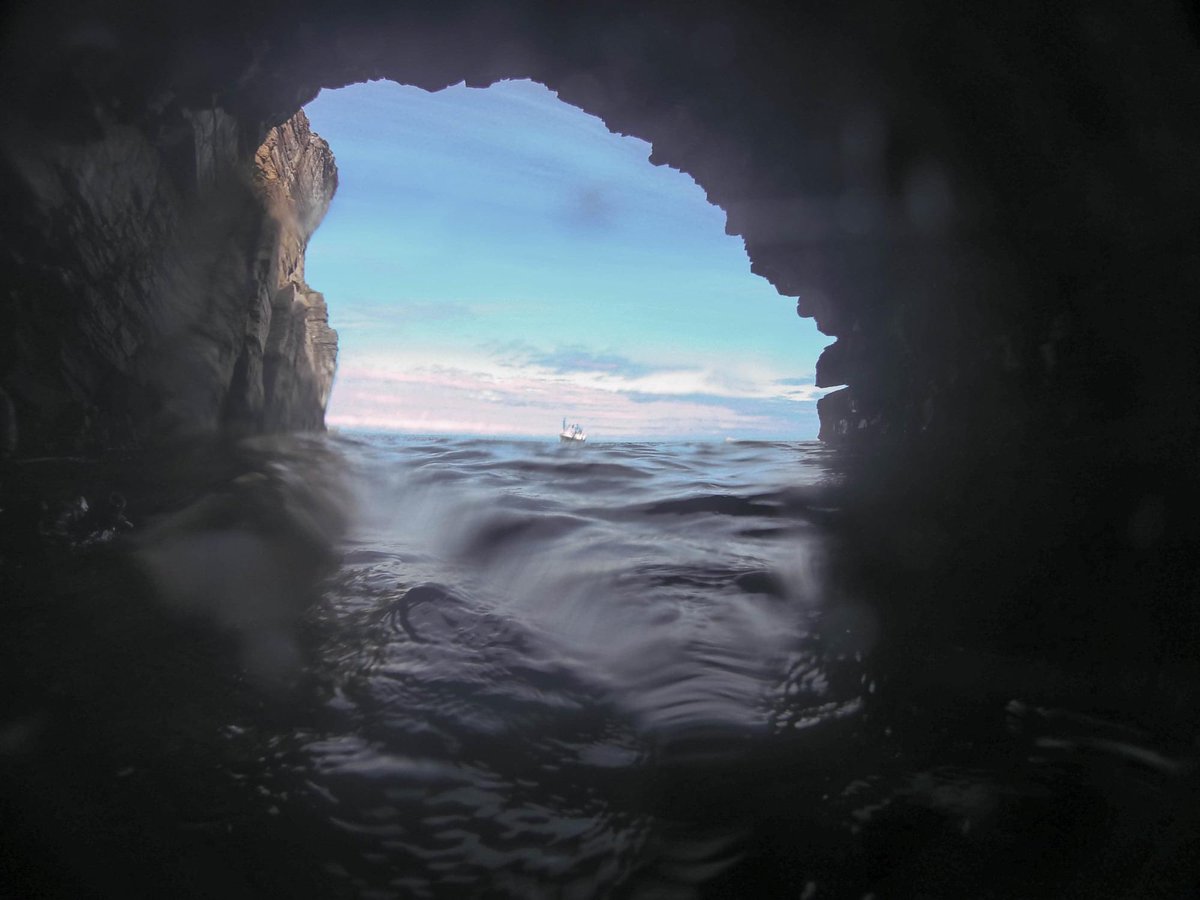 Hayden Close tweet media