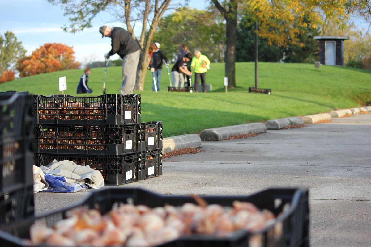 Tulip Time Festival (@tulip_time) on Twitter photo Community Tulip Planting, Fall Artisan Market and Holland Walking Tours are a part of the October events we're planning as a part of the <a href="/DowntownHolland/">Downtown Holland</a> Fall Fest! Learn more at tuliptime.com/blog/archives/… Community Tulip Planting, Fall Artisan Market and Holland Walking Tours are a part of the October events we're planning as a part of the <a href="/DowntownHolland/">Downtown Holland</a> Fall Fest! Learn more at tuliptime.com/blog/archives/…
