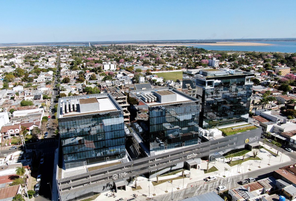 Panedile tweet media