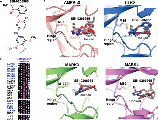 Biochemical Journal tweet media