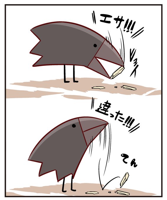 今日見たカラス 