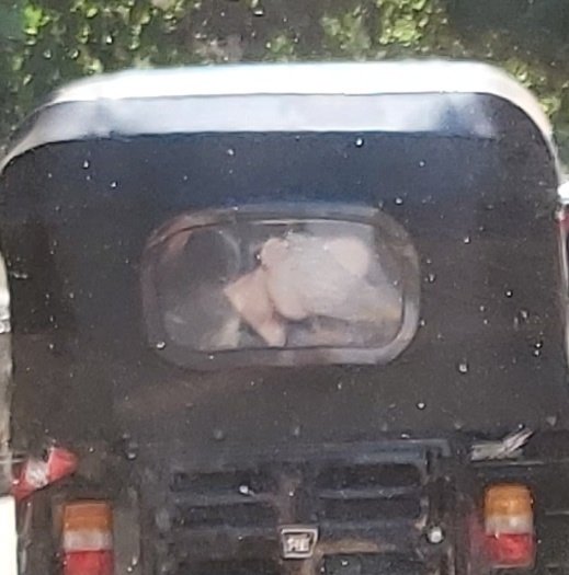 vantaegear's tweet image. Look who I saw today