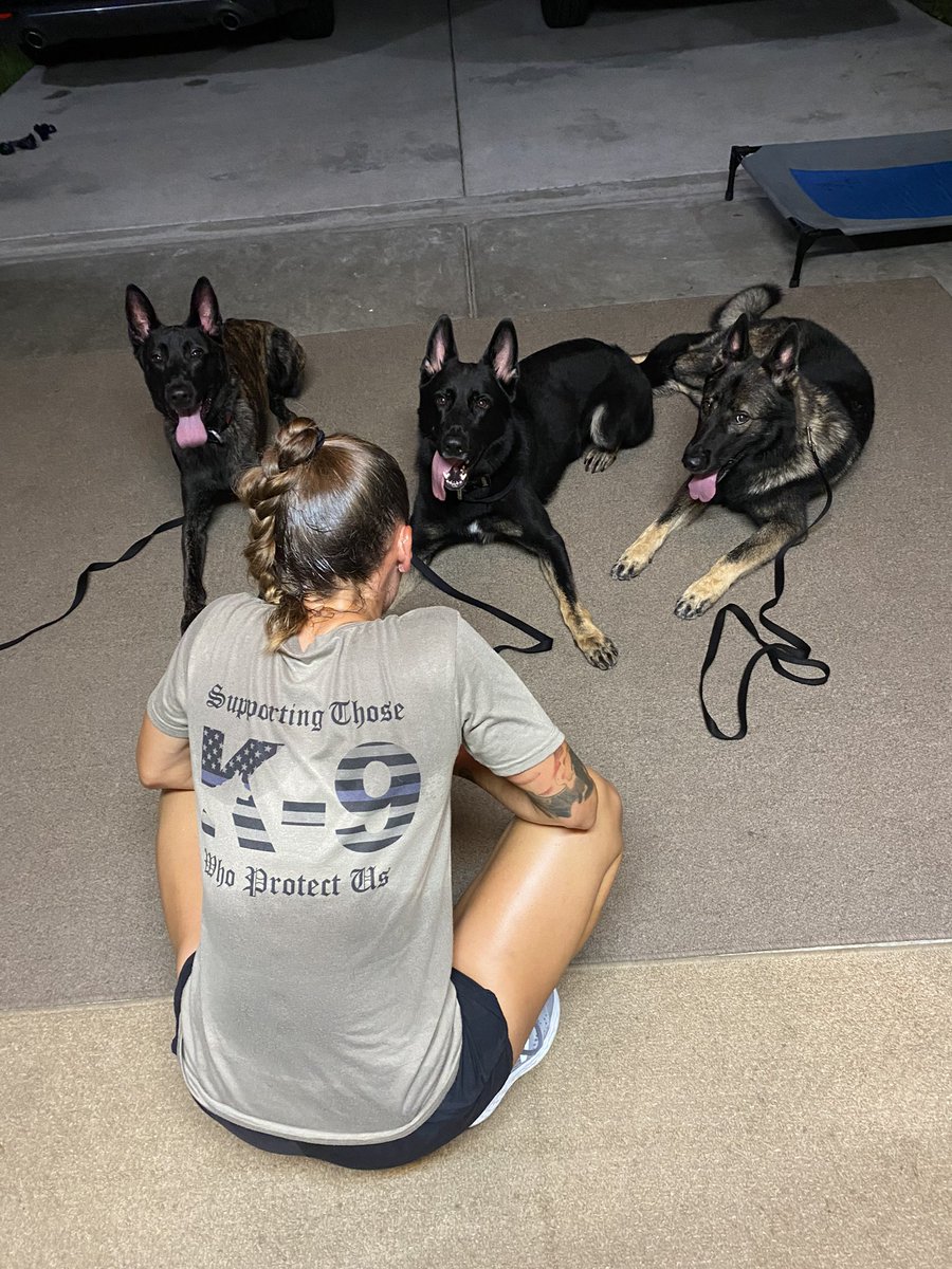 P.O. Ella French doesn’t get to take any more rest days so neither did we. Followed the lead from others, took my 3 dogs and ran 3 miles for P.O. French’s 3 years of service. #nodaysoff #thankyouforyoursacrifice #neverforget #duespaid #gsd #k9 #dutchshepherd #workingdog #gorun