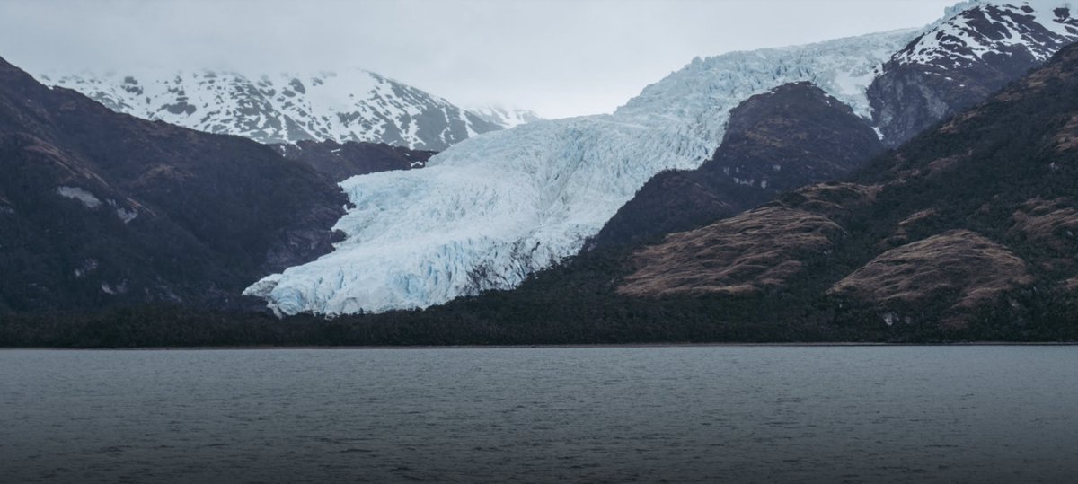 Google Chile tweet media