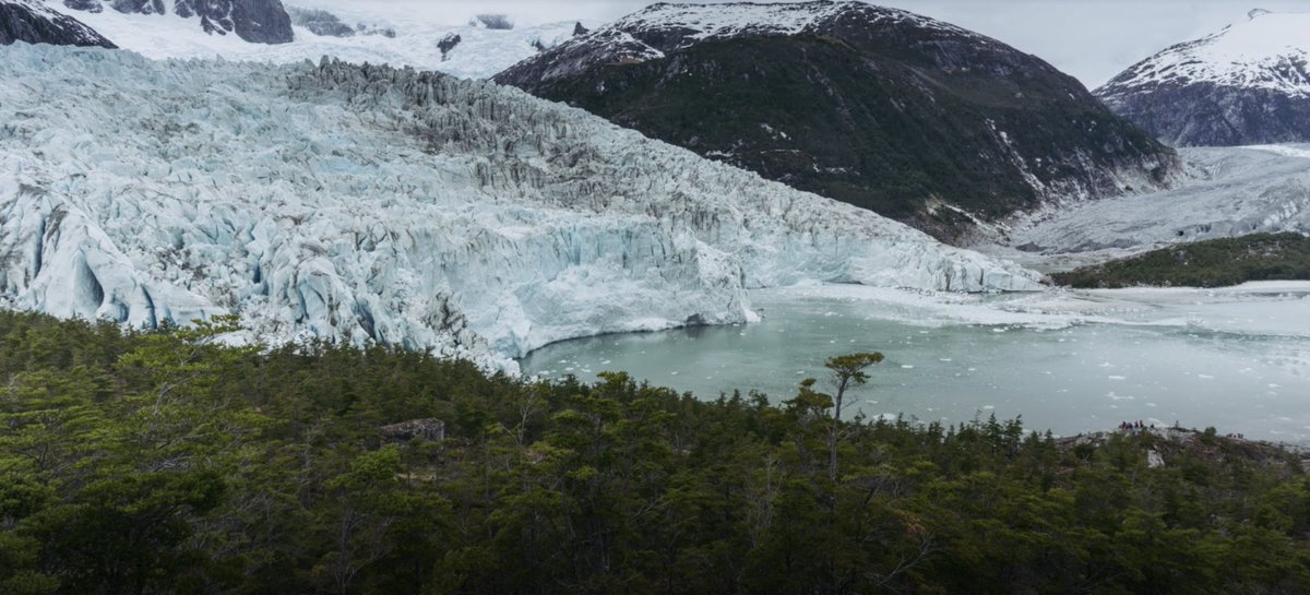 Google Chile tweet media