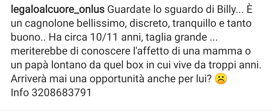 Qua la Zampa tweet media