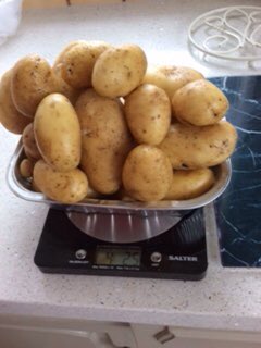 Long Itchington WI tweet media