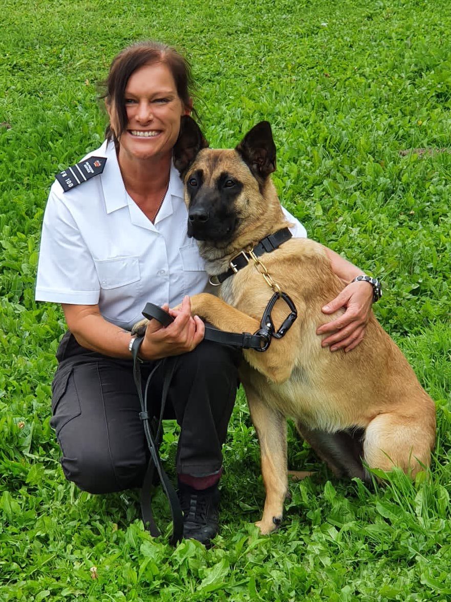 DogsHmpps's tweet image. Congratulations to Bo and handler for passing their Initial Patrol Dog course yesterday. Bo is 20 months old and starts her new life with HMPPS coming from a charity. Bo will now be joining the team @HMPFullSutton 👏👏👏🎉🎉 #OperationalDogs #PrisonDogs #K9 #WorkingDogs