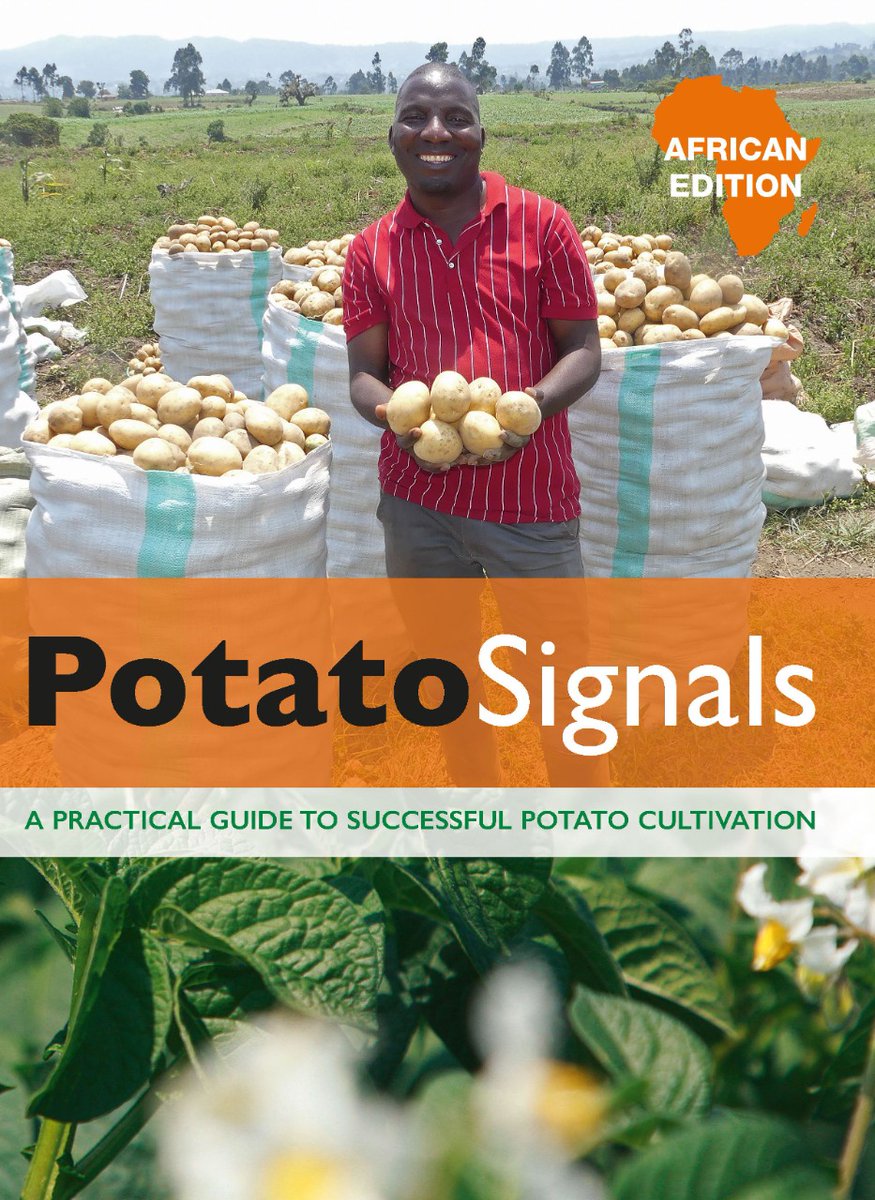 NLAgriKenya's tweet image. Do you want to get more out of your potato crop? Potato Signals will help you make better, well-founded decisions, eliminate weak points or simply get all the little details right. Order a book here: bit.ly/3ycBNeV #potatoday