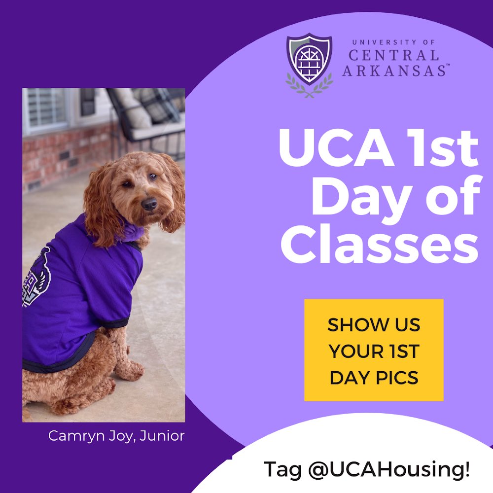 UCA Housing (@ucahousing) on Twitter photo 
