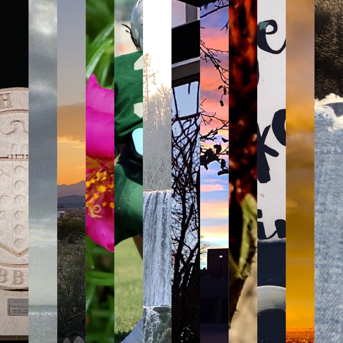 Happy #WorldPhotographyDay!! 📸 Our office decided to celebrate and showcase some of our favorite photos. Take a look at our Facebook and get to know some of our staff through their own perspective.