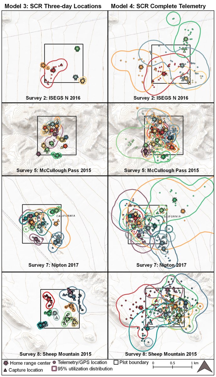 ESAEcosphere's tweet image. From our #Methods, Tools, &amp;amp; Technologies track:

A study of #DesertTortoises reveals potential sources of bias in #SpatialCaptureRecapture models

doi.org/10.1002/ecs2.3…

#WildlifeMonitoring #OpenAccess

@CiMitchellii @NussearLab @UNRTortoise @s_hromada @kevint_kevin @jsheaton