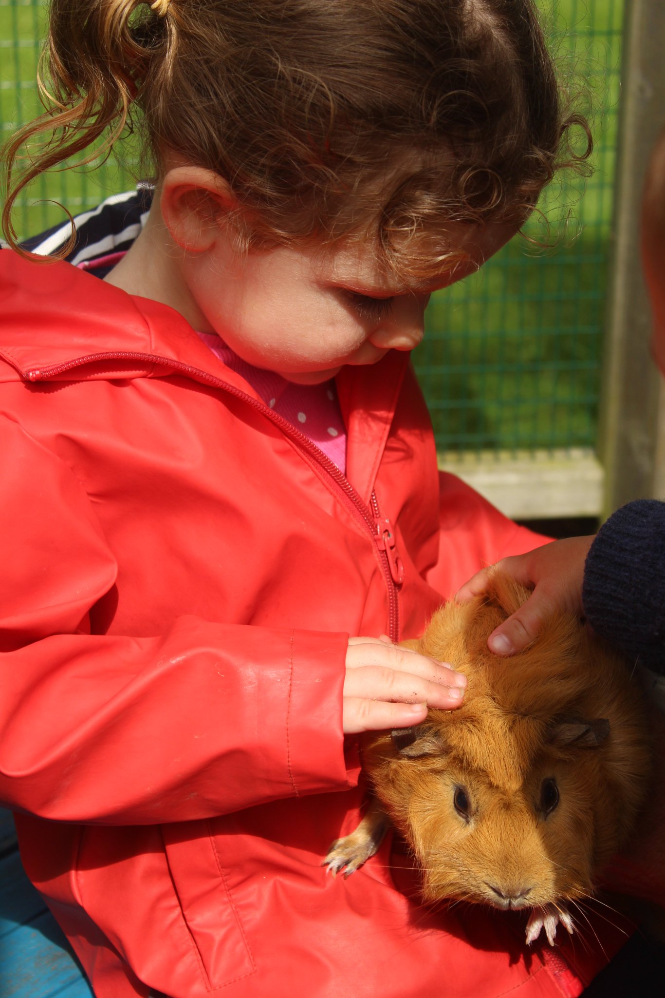 Ashton House Nursery on Twitter "Spending time with our onsite