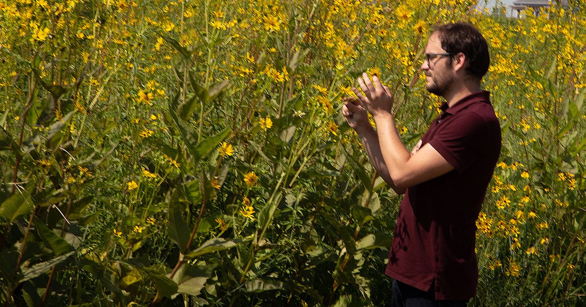 PrairieRiversIA's tweet photo. Be sure to listen to @IowaPublicRadio's River to 
River today at noon. Hear our Watersheds and Wildlife Coordinator David Stein talk with host Ben Kieffer about how prairie restoration can help with carbon sequestration to mitigate or reverse climate change. https://t.co/6FetdDDjWQ