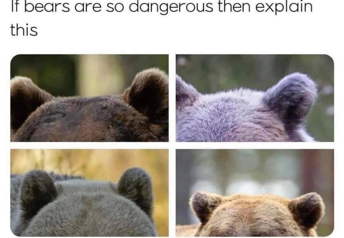 WholesomeMeme's tweet image. 