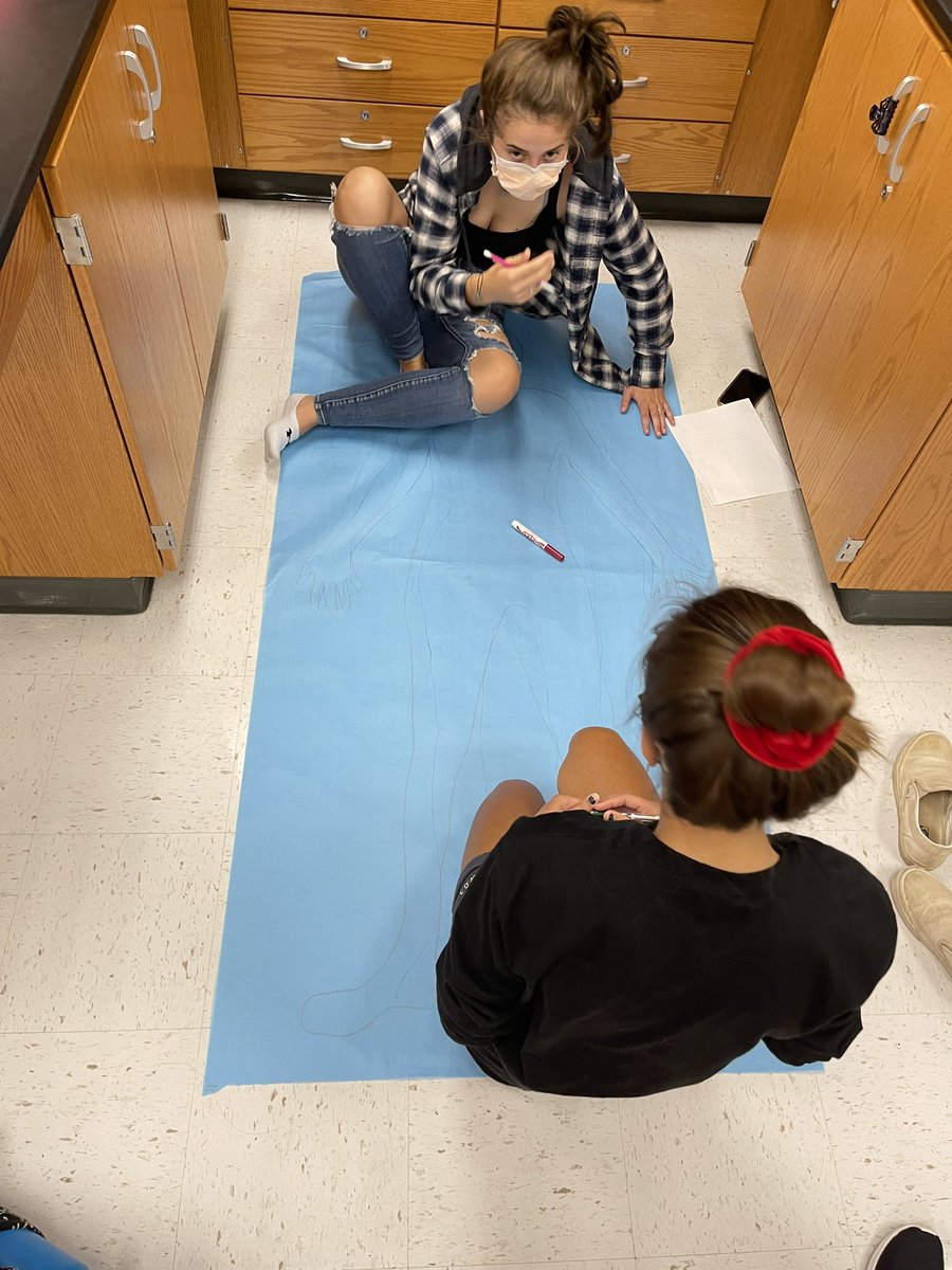 #anatomyandphysiology #ithasbegun #oneofmyfavoritelessons #bodymapping #sciencerules #sciencerocks #lifescienceiswhereitsat #offtoagreatstart <a href="/krhsscience/">KRHS Science</a> <a href="/KettleRunNews/">Kettle Run HS</a>