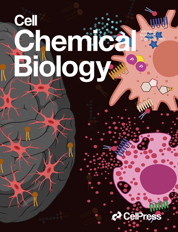 KamatLab_IISER's tweet photo. Thrilled to see our work from @IISERPune feature on the cover of the August issue of @CellChemBiol !!! Cover artwork made by @NehaKh6 https://t.co/3l9wvl1dpQ