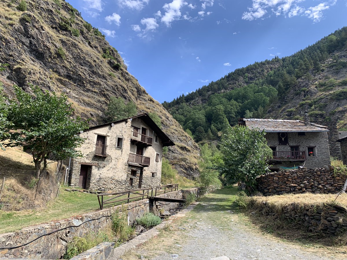 Javi Rubio tweet media