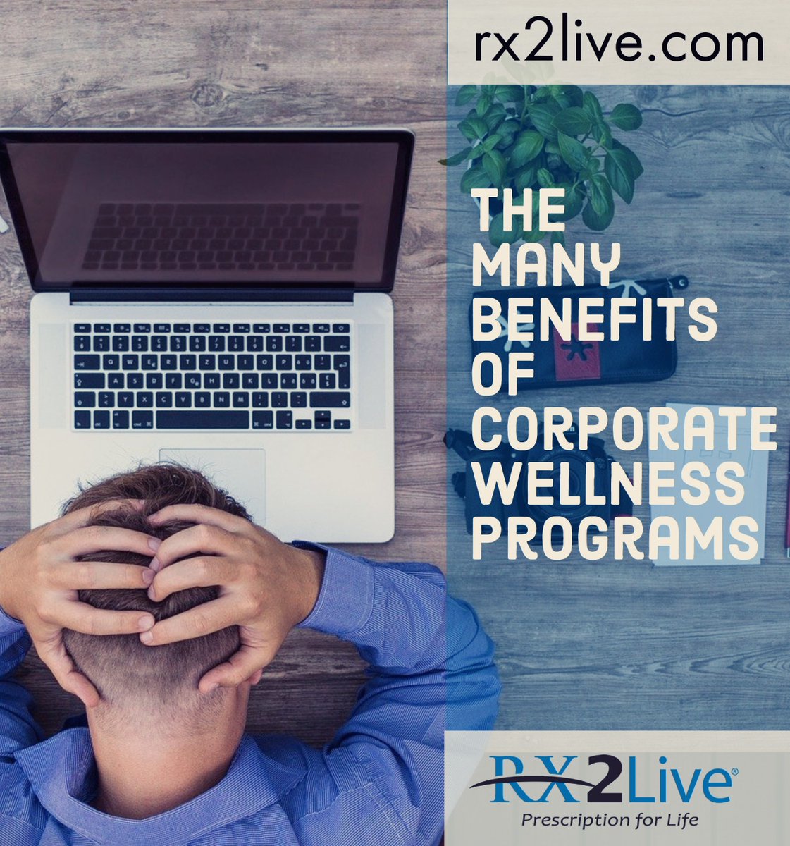 Rx2LiveOH's tweet photo. Why have a wellness program?

Wellness programs, studies show, are proven to produce healthier employees who are less likely to file medical or disability claims, saving an employer money.

Check out more benefits👇

https://t.co/6proPCr1c1

#Rx2Live https://t.co/VZdCCbJvR8