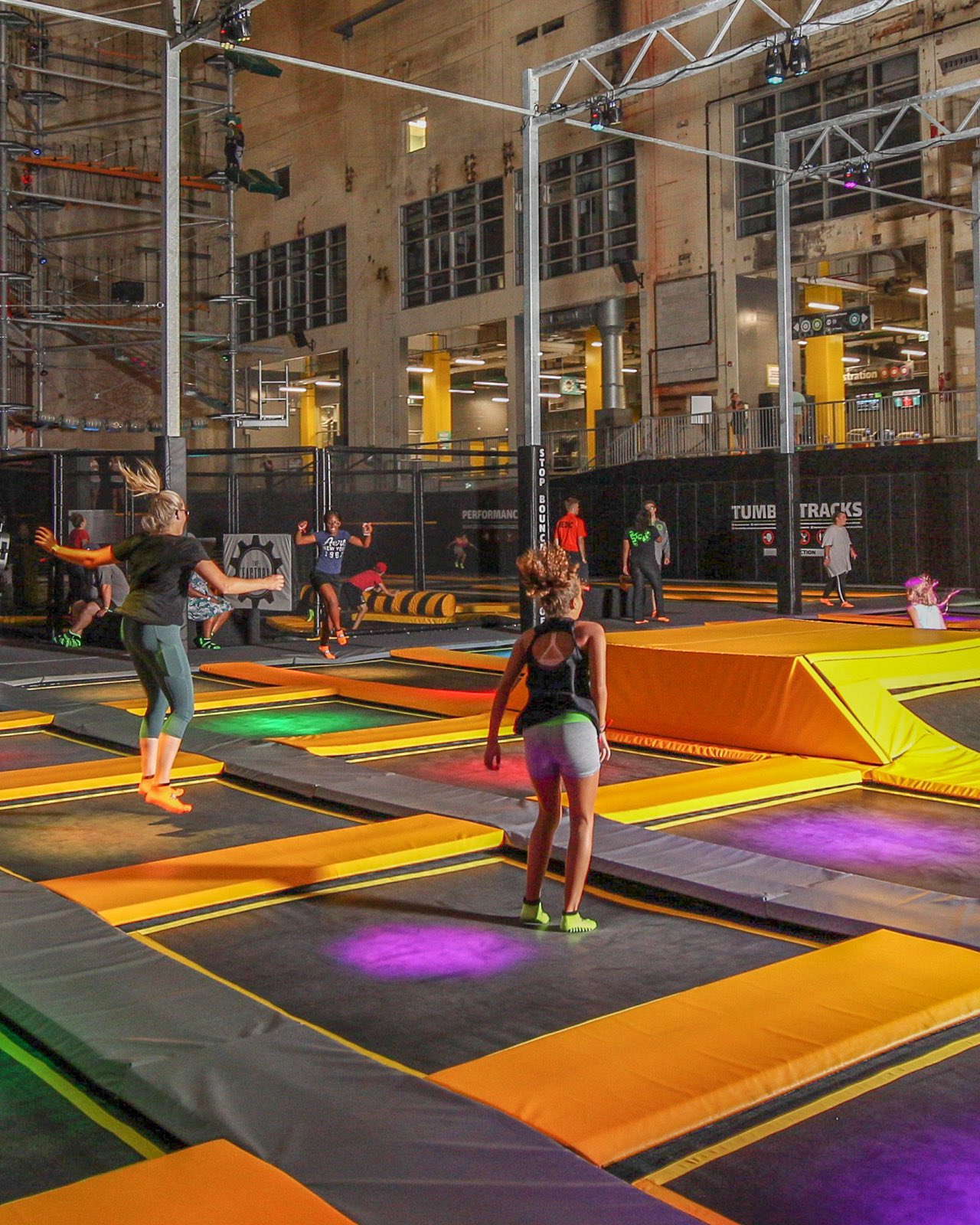Trampoline factory top