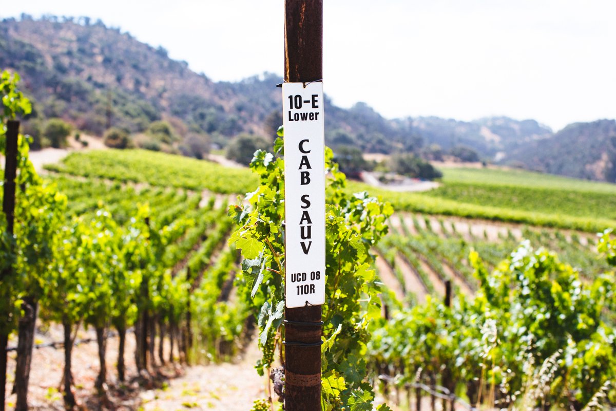 Gundlach Bundschu Winery tweet media