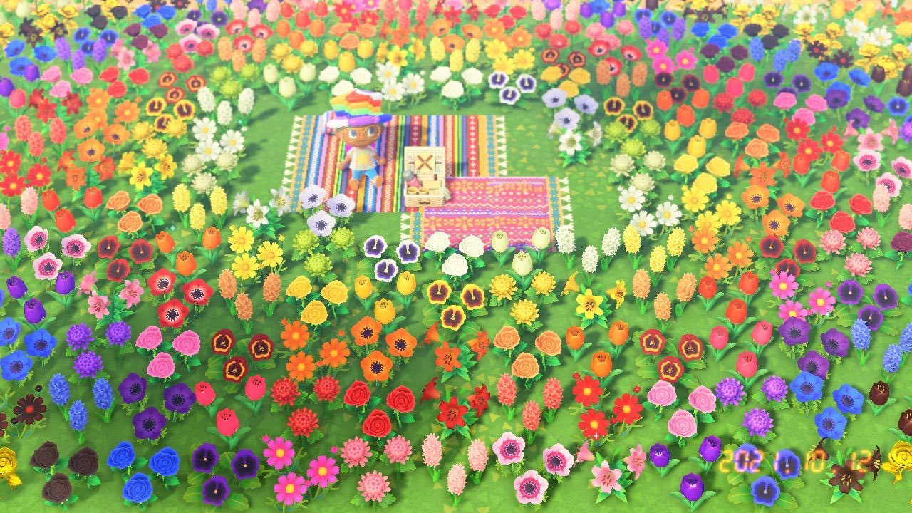 Twitter 上的 U やっぱり 作ったよな 笑 グラデーション花畑 なんも考えんと 気付いたら無意識で作っとったよな 笑 でも やっぱり 好き 笑 レインボー花畑が 見とって1番癒される どうぶつの森 あつ森 花畑 交配花 グラデーション Animalcrossing