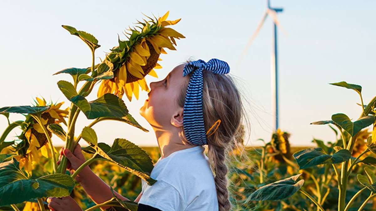 Con l'offerta Happy Green Luce hai #energia verde proveniente da sole fonti rinnovabili certificate con Garanzie di Origine. 🌿
💚 Oggi fai la scelta giusta per il tuo #domani. Aderisci ora 👉 bit.ly/HappyGreen_Luce

#luce #green #lucegreen #energiapulita #energiaverde #energy