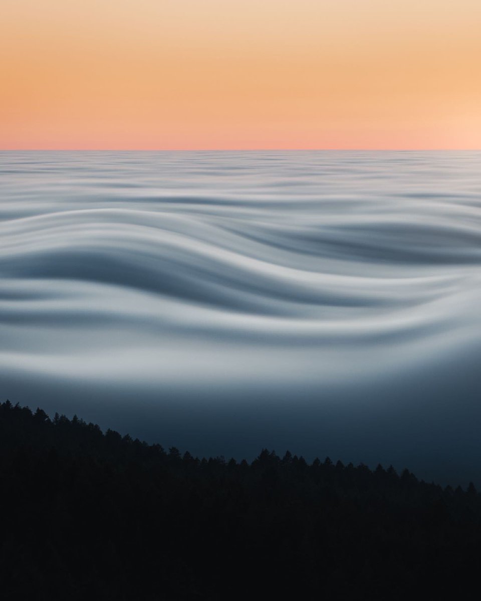 Do you prefer it chunky or smooth? 🥜🧈