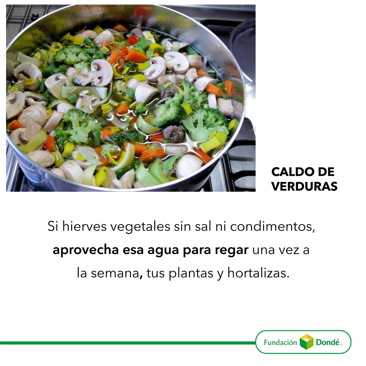 De acuerdo con la #FAO, una tercera parte de los #alimentos en el mundo, se desperdicia. Fomenta en los #niños el cuidado del #MedioAmbiente, mientras aprendes a darle un segundo uso a los residuos orgánicos #encasa.  
#educacion #fundacion