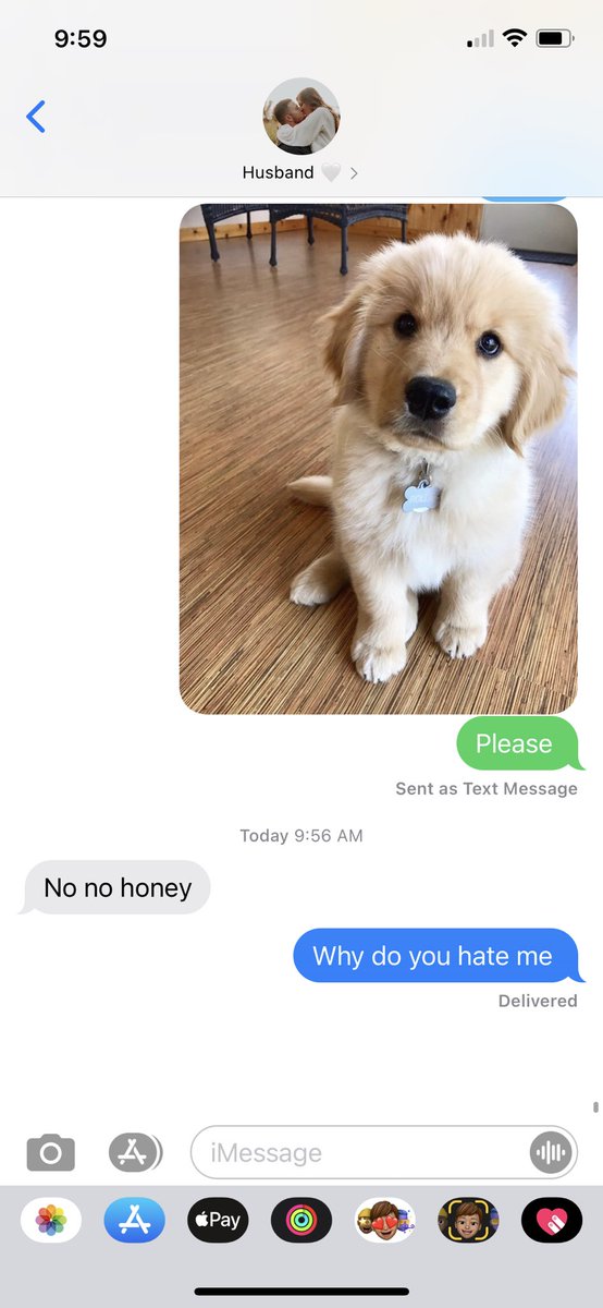 KaylaDawn51's tweet photo. Day #153873 of trying to convince Brady to let me get a Golden Retriever is not going well. Open to ideas 🥲 https://t.co/OJbjlaXLJF