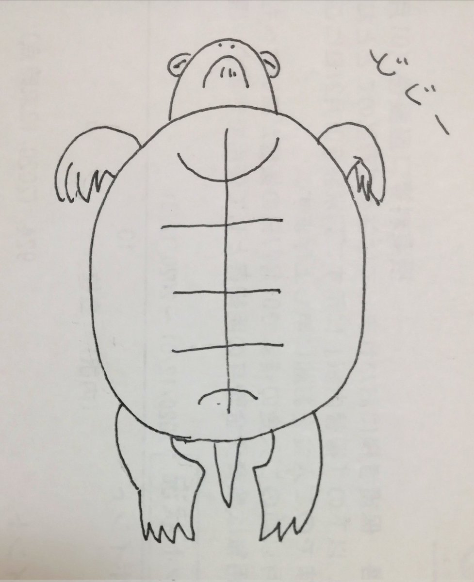 いつも思うんですが抱き上げて腹側から見ると土偶みたいな顔してんの この子 🐢 