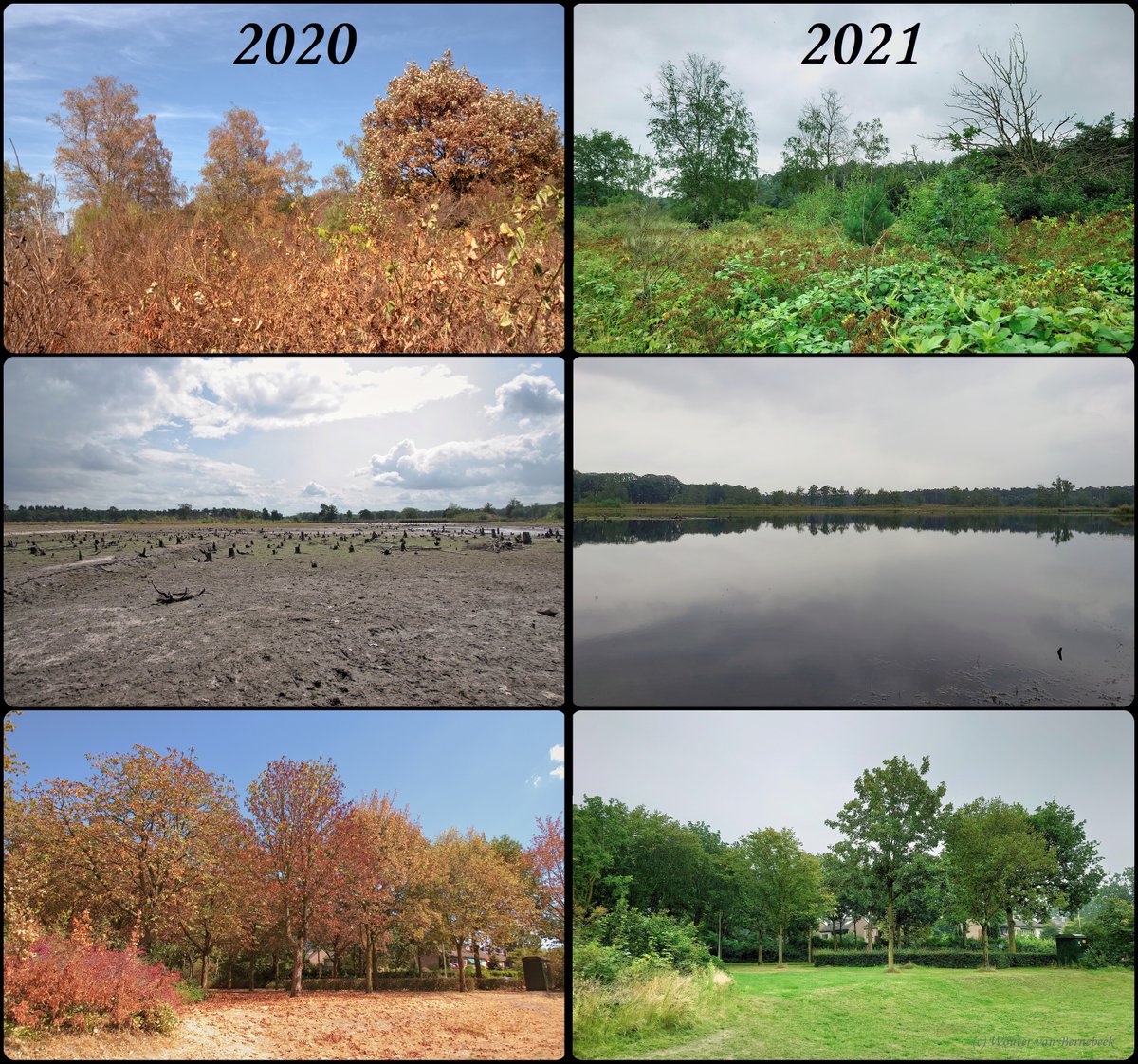 Wouter van Bernebeek (@stormchasernl) on Twitter photo ☀️ Zomer 2020 -vs- 2021! 🌨️ Ik heb enkele locaties uit het Rijk van Nijmegen naast elkaar gelegd; alle plaatjes zijn half augustus gemaakt. Welk soort #zomer krijgt jouw voorkeur?
<a href="/BoswachterTim/">Timothy de Boskabouter</a> <a href="/kiekdor/">kiekdor</a> <a href="/OmroepGLD/">Omroep Gelderland</a> ☀️ Zomer 2020 -vs- 2021! 🌨️ Ik heb enkele locaties uit het Rijk van Nijmegen naast elkaar gelegd; alle plaatjes zijn half augustus gemaakt. Welk soort #zomer krijgt jouw voorkeur?
<a href="/BoswachterTim/">Timothy de Boskabouter</a> <a href="/kiekdor/">kiekdor</a> <a href="/OmroepGLD/">Omroep Gelderland</a>