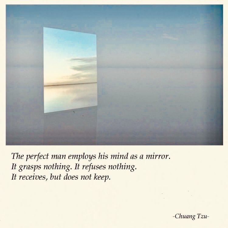 wilson_hurley's tweet photo. Equanimity supports both compassion and insight, https://t.co/Ee9YF3TSyl.
#equanimty #calm #Mindfulness #compassion #insight https://t.co/DwDKaaJQ78