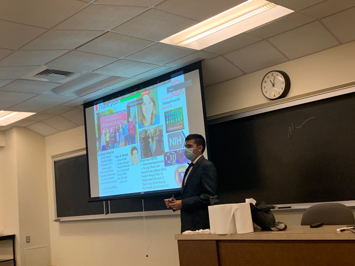 Ana P Torres-Ocampo tweet media