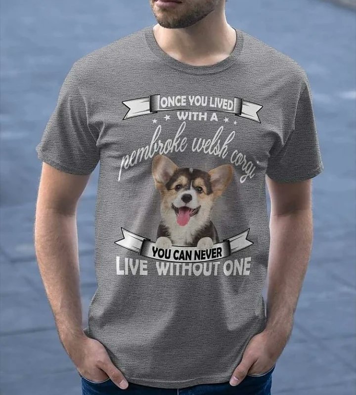 Say 'Yes' if you need this t-shirt? 
Get this perfect shirt at ->
teetrandyex.com/campaigns/-/-/… 

#CorgiCrew #corgi #corgitshirt