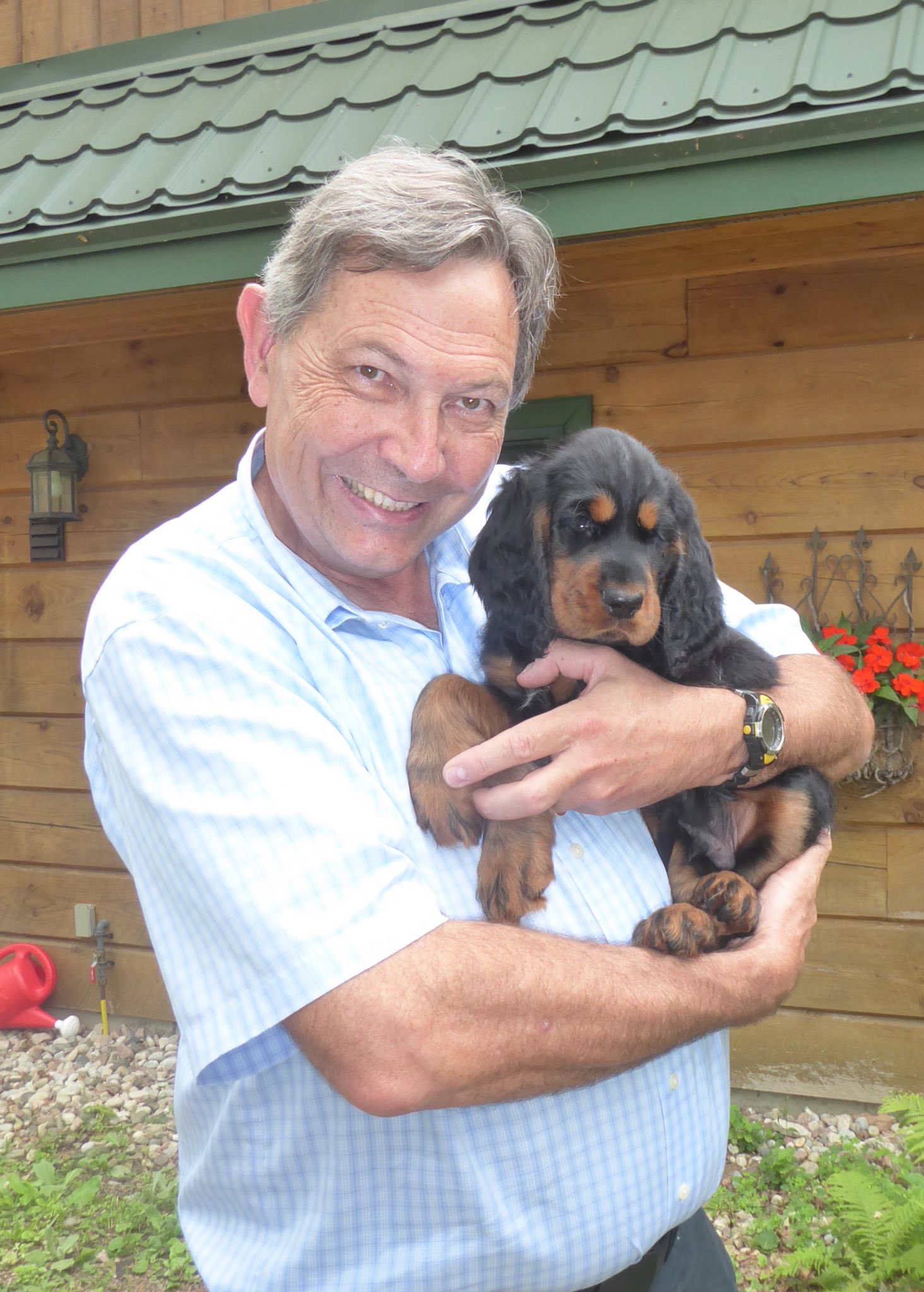 Gordon Setter Cocker Spaniel Mix