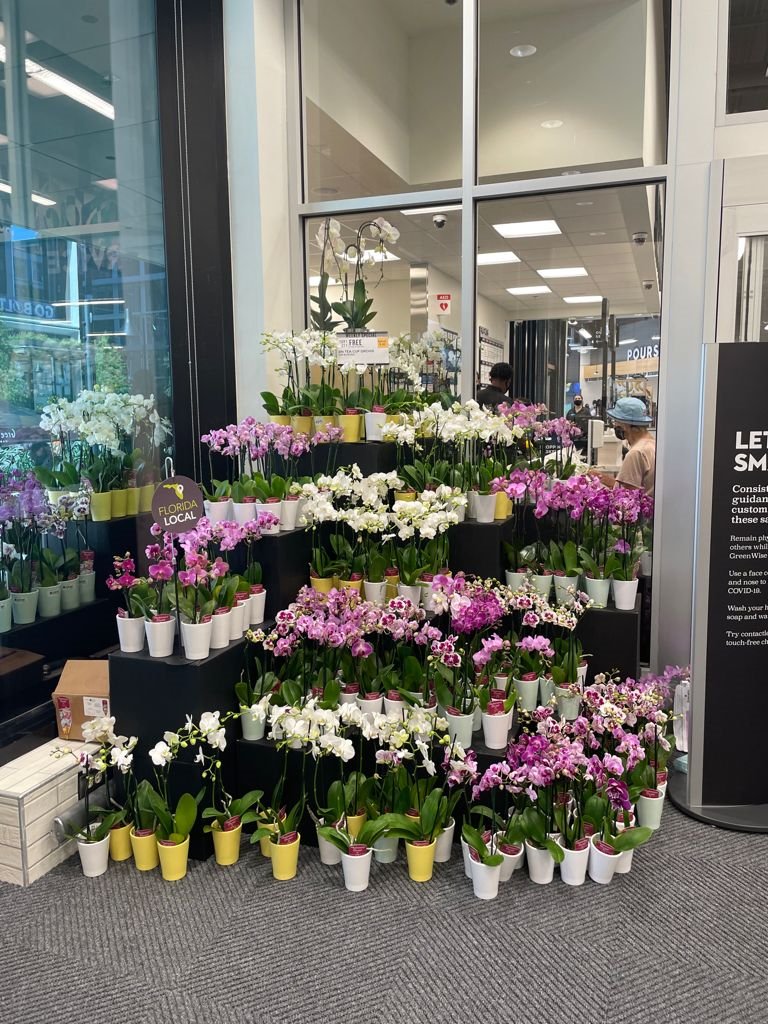 We are so happy to be apart of the grand opening @publixgreenwisemarket 
in the beautiful city of Tampa, FL 🌴

Drop by and enjoy all the verities of food🍔, beverages🍊 and breathe taking Silver Vase orchids 💮.