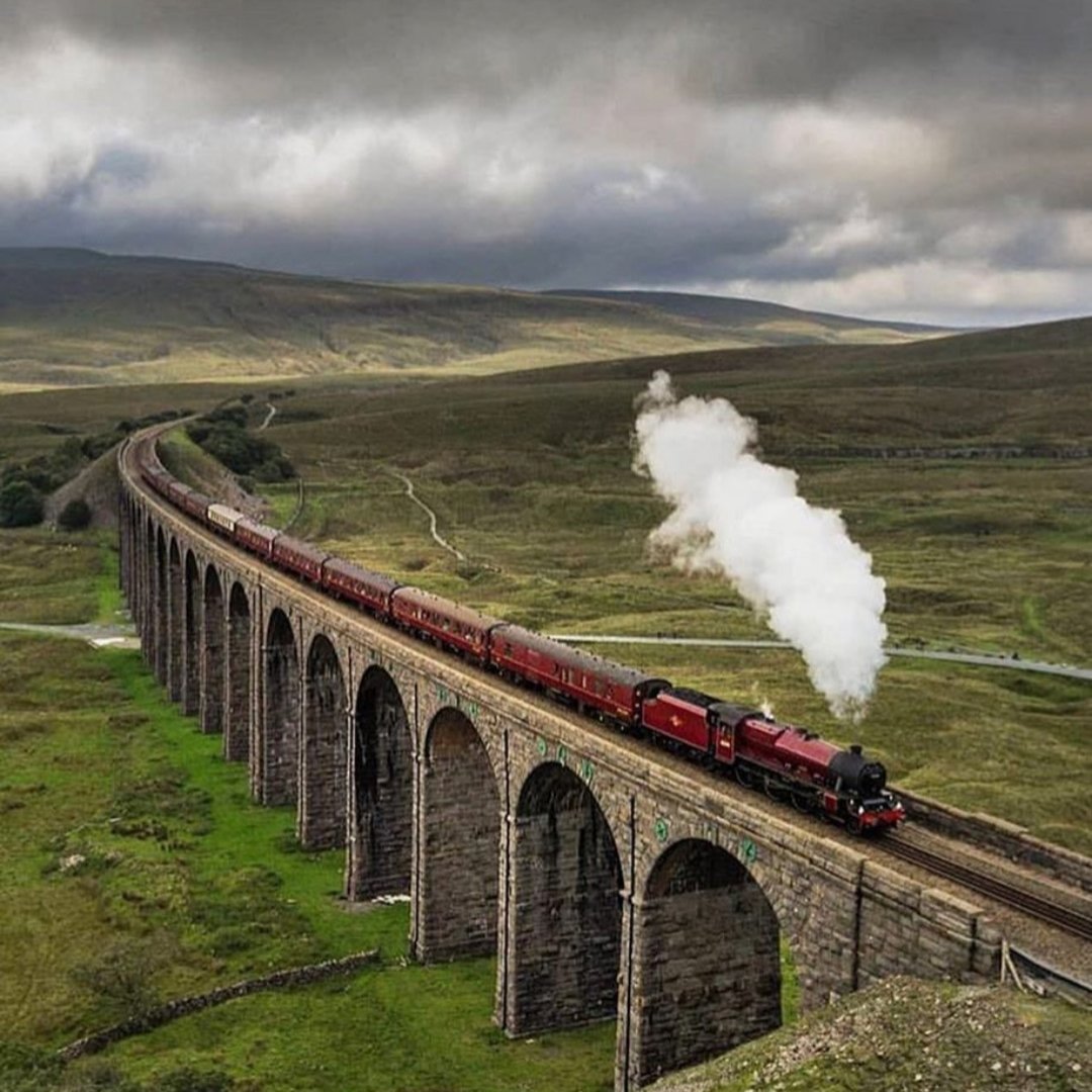 LateCottages tweet media