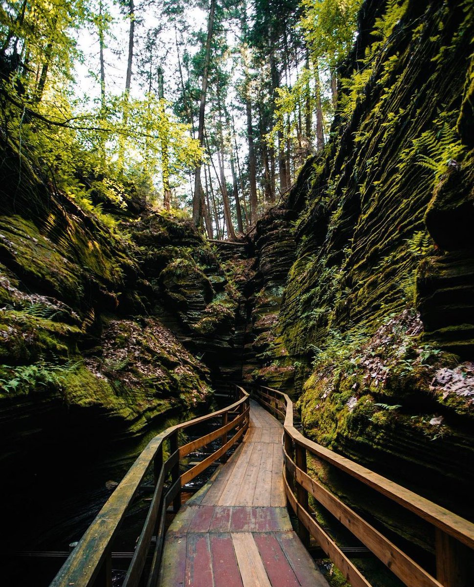 Did you know today is World Photography Day? This photo from Felicia Fullwood Photography is giving us serious day-trip wanderlust. The Wisconsin Dells are a geological wonder just a hour from our doorstep. Maybe we close down the office early today?